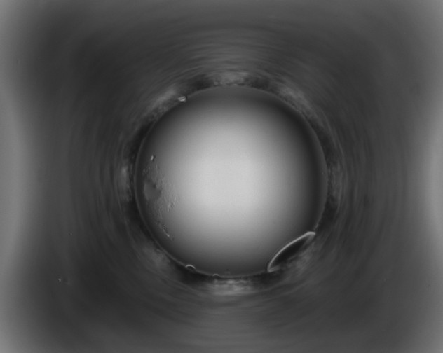 X0000086320378200704131659