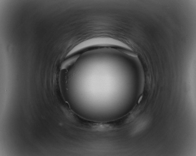 X0000086320379200704131659