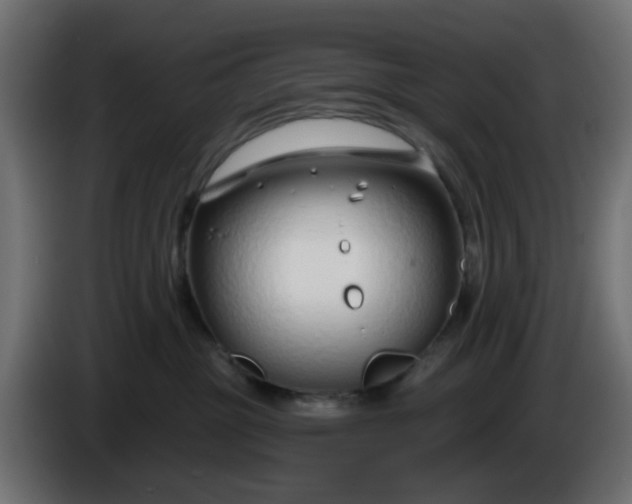 X0000086320381200704131659