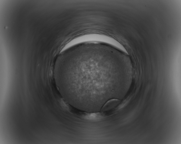 X0000086320382200704131659