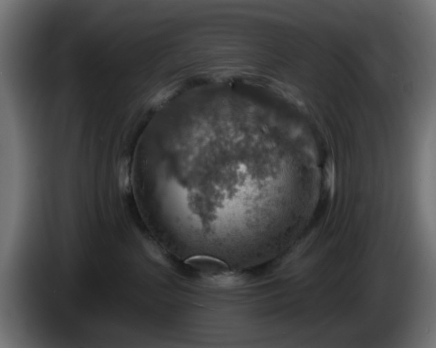 X0000086320383200704131659