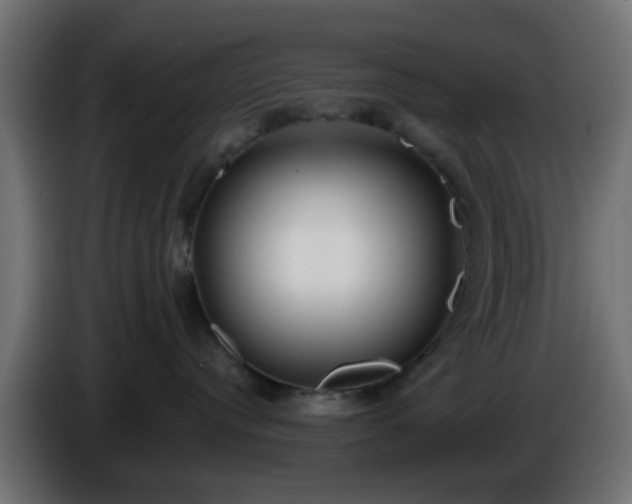 X0000086320384200704131659