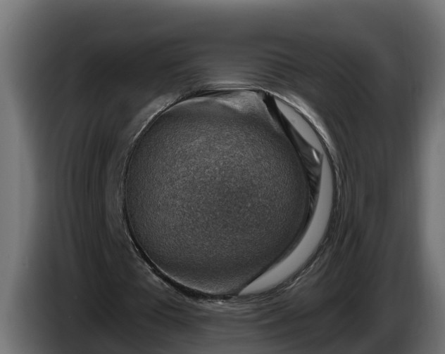 X0000086320385200704131658