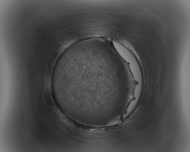 X0000086320386200704131658