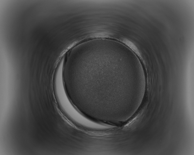 X0000086320389200704131658