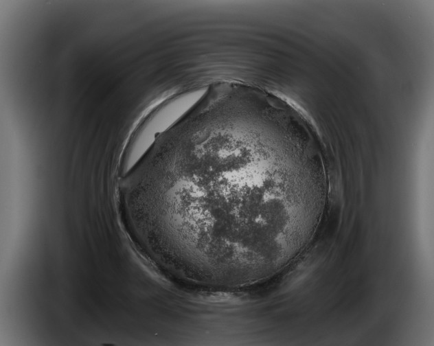 X0000086320390200704131658