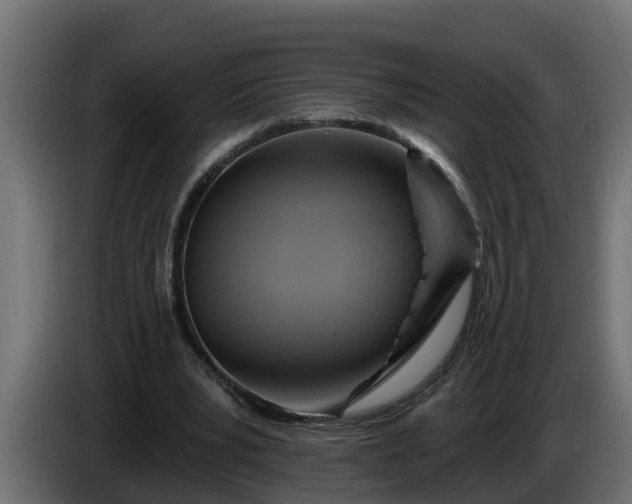 X0000086320391200704131658