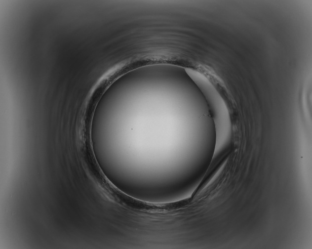 X0000086320392200704131658