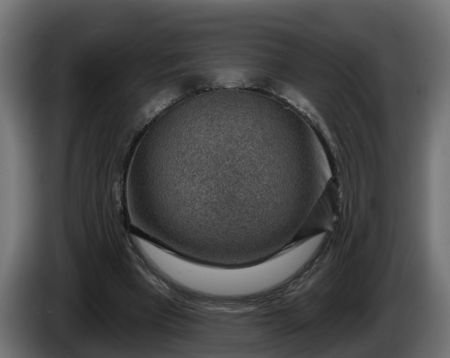 X0000086320393200704131658