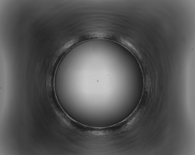 X0000086320394200704131658