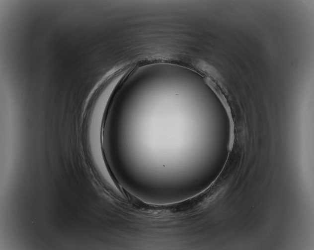 X0000086320395200704131658