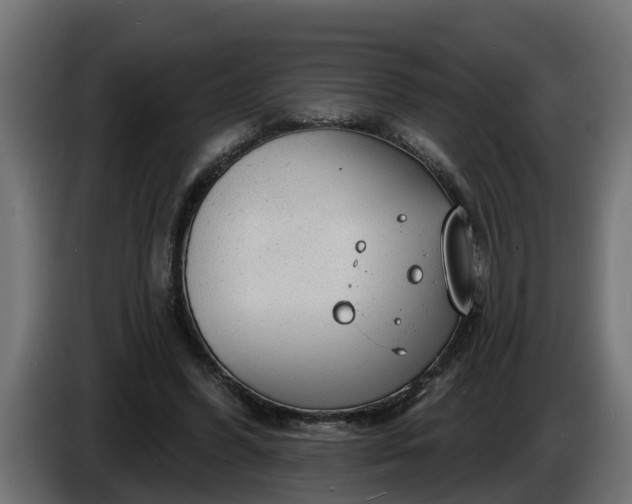 X0000086320396200704131658