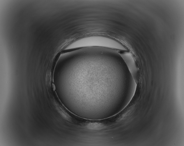 X0000086320397200704131658