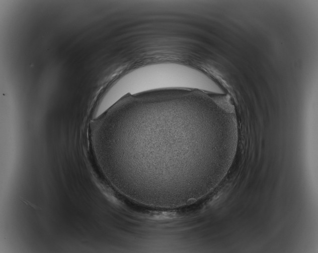 X0000086320398200704131658