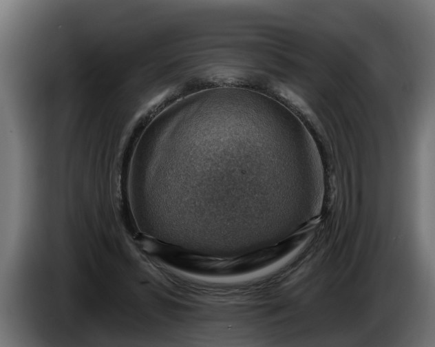 X0000086320399200704131658