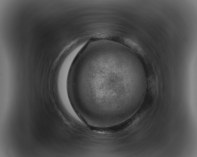 X0000086320400200704131658