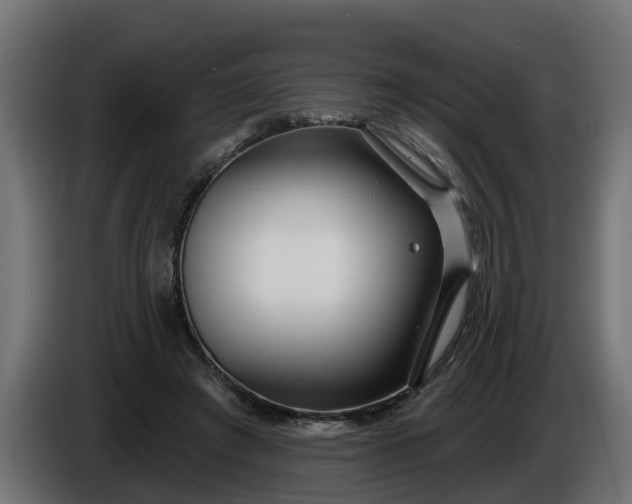 X0000086320401200704131658