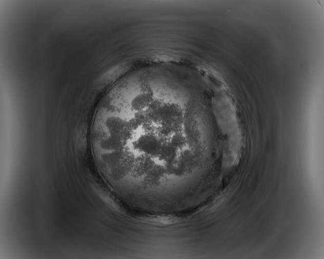 X0000086320402200704131658