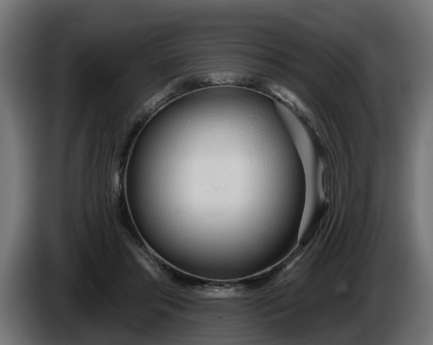 X0000086320405200704131658