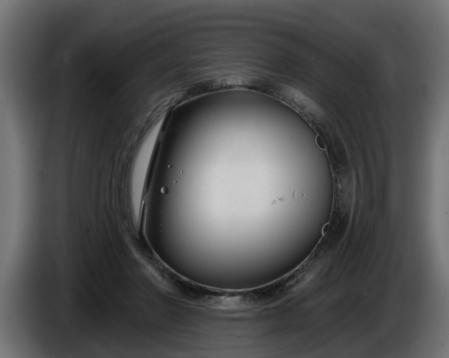 X0000086320406200704131658