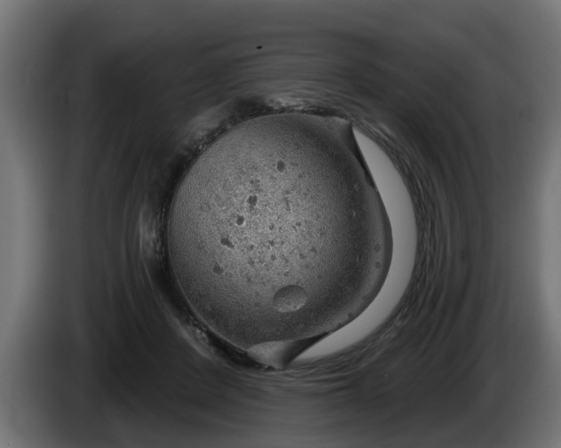 X0000086320408200704131658