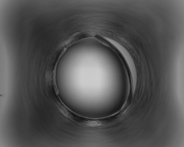 X0000086320409200704131658