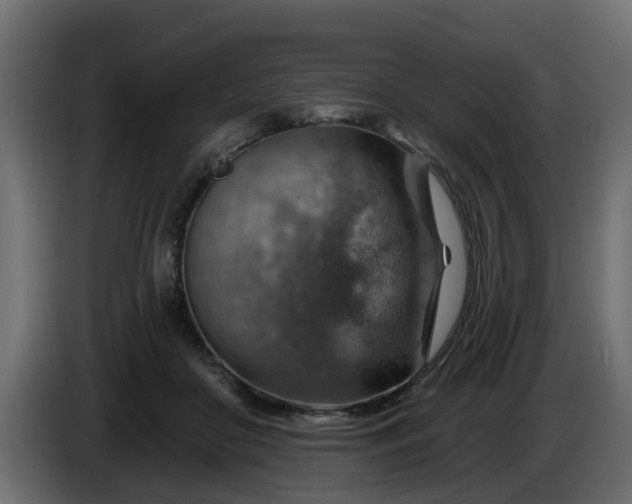 X0000086320410200704131658