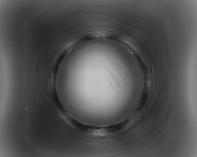 X0000086320411200704131658