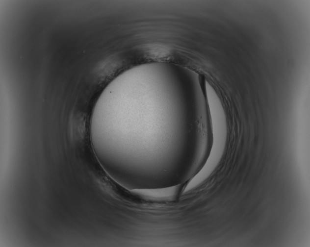 X0000086320412200704131658