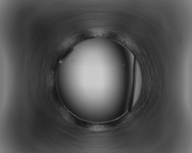 X0000086320413200704131658