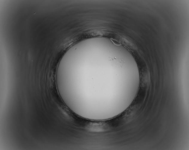 X0000086320414200704131658