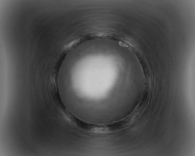 X0000086320415200704131658