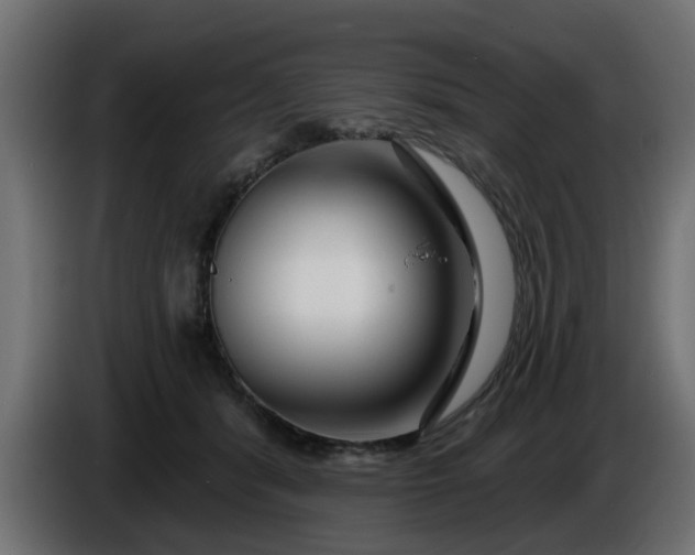 X0000086320416200704131658