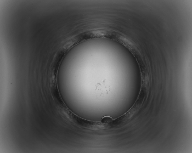 X0000086320418200704131658