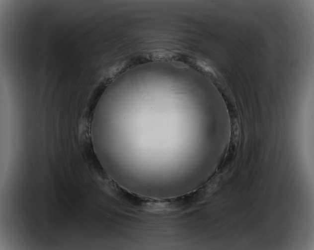 X0000086320419200704131658