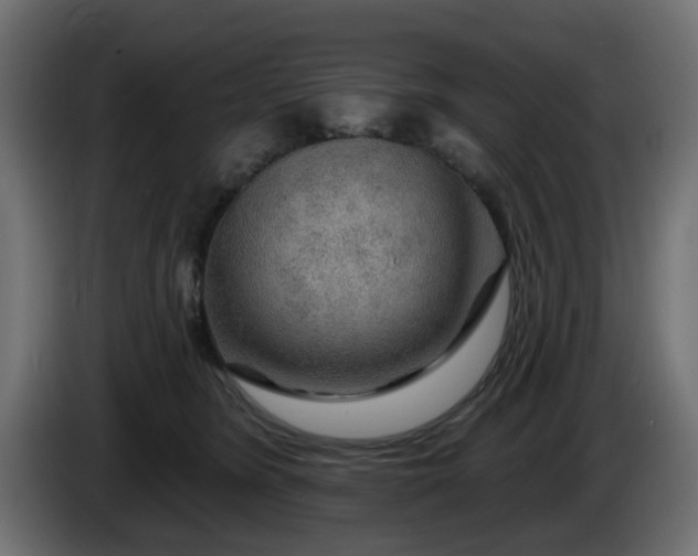 X0000086320420200704131657