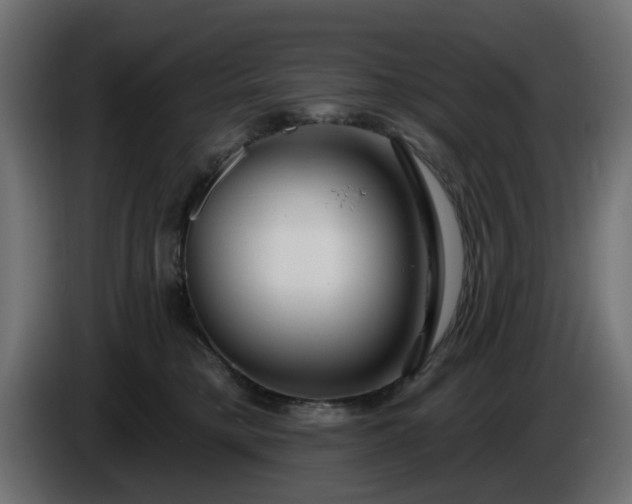 X0000086320421200704131657