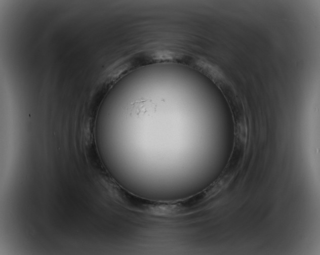 X0000086320422200704131657