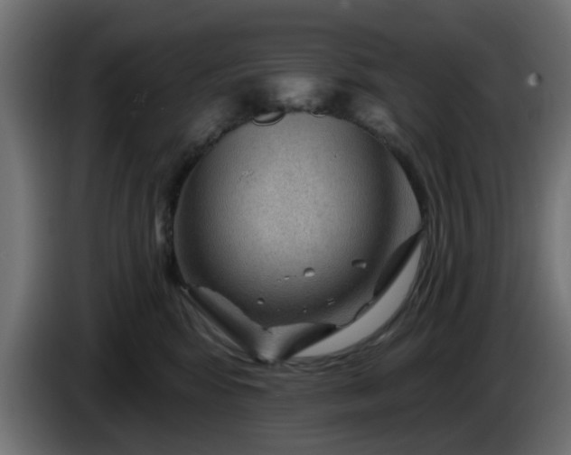 X0000086320424200704131657