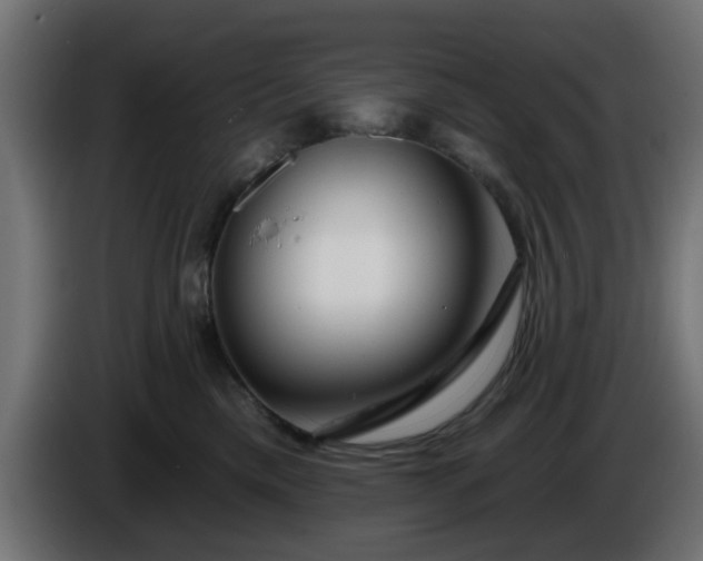 X0000086320425200704131657