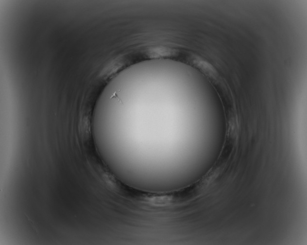 X0000086320426200704131657