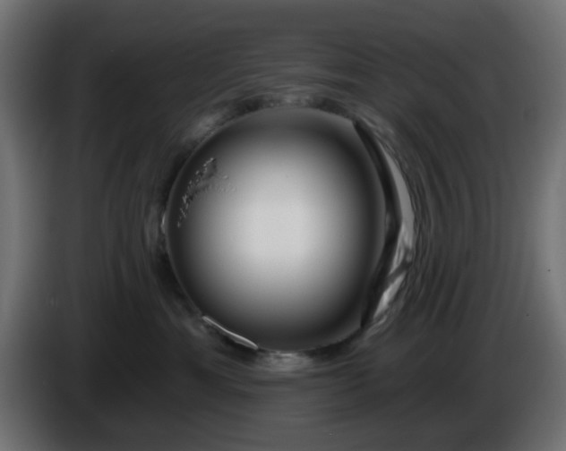 X0000086320429200704131657