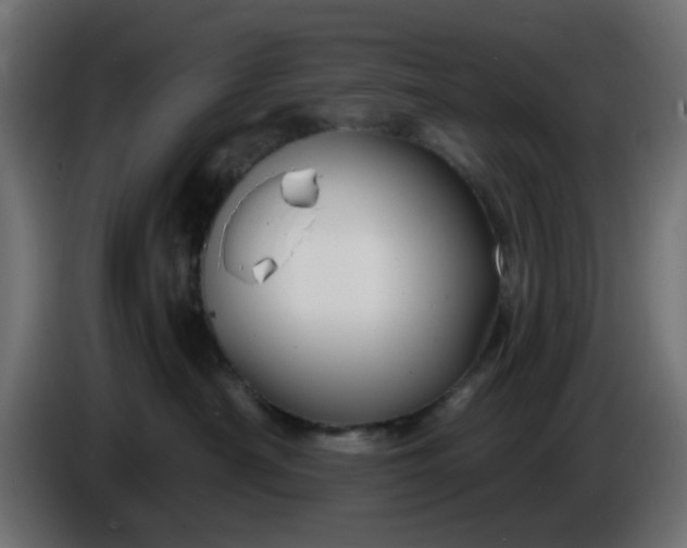 X0000086320430200704131657