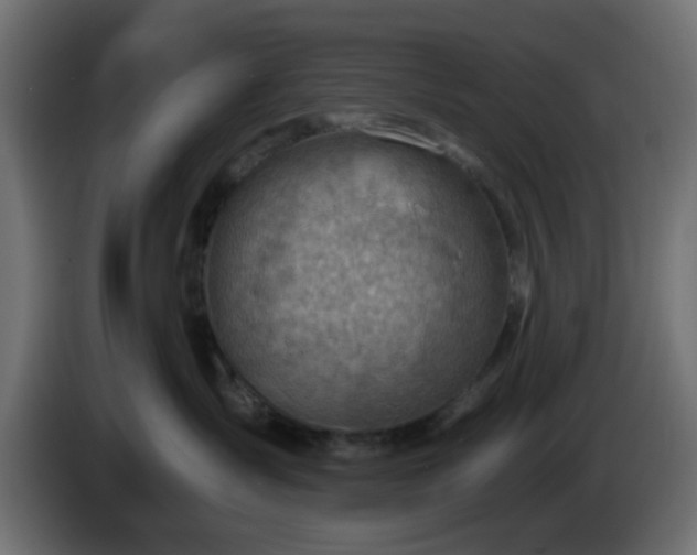 X0000086320431200704131657