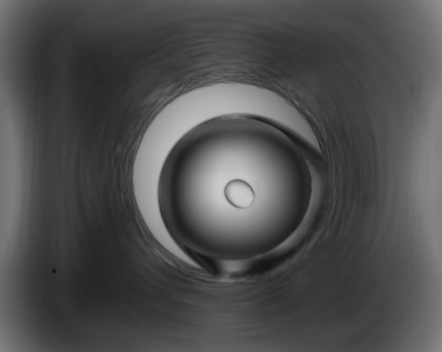 X0000086320432200704131657