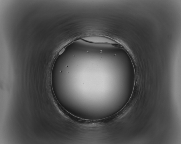 X0000086320433200704131657