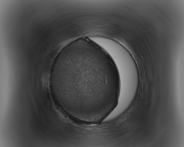 X0000086320434200704131657