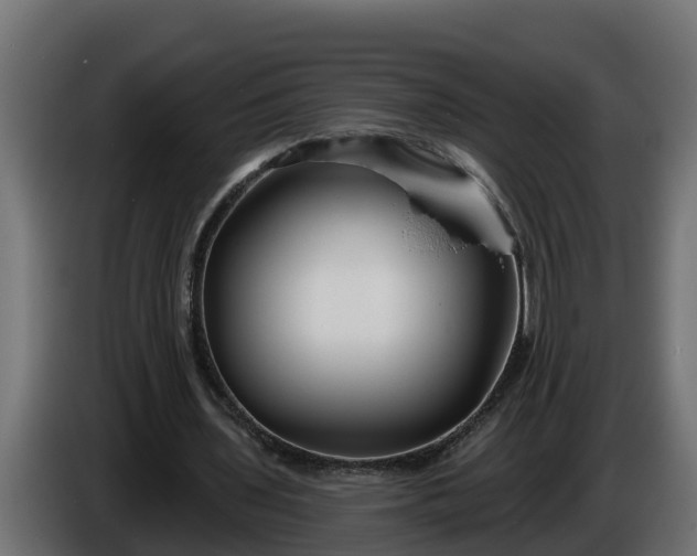 X0000086320435200704131657