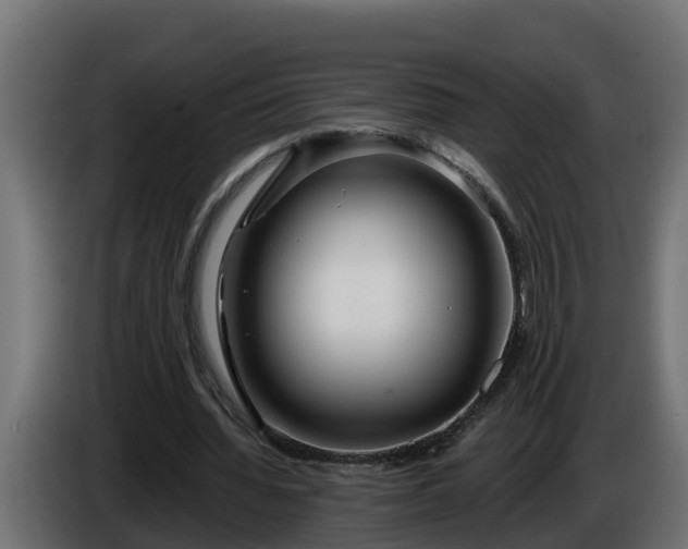 X0000086320436200704131657