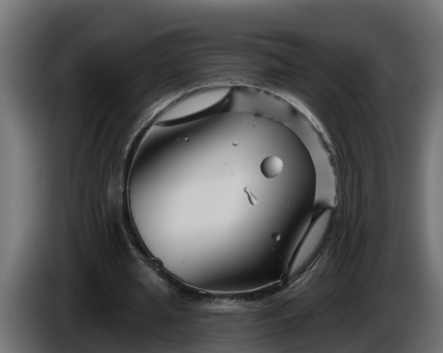 X0000086320437200704131657